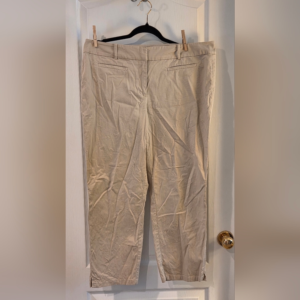 Ann Taylor Men's Khaki Chinos